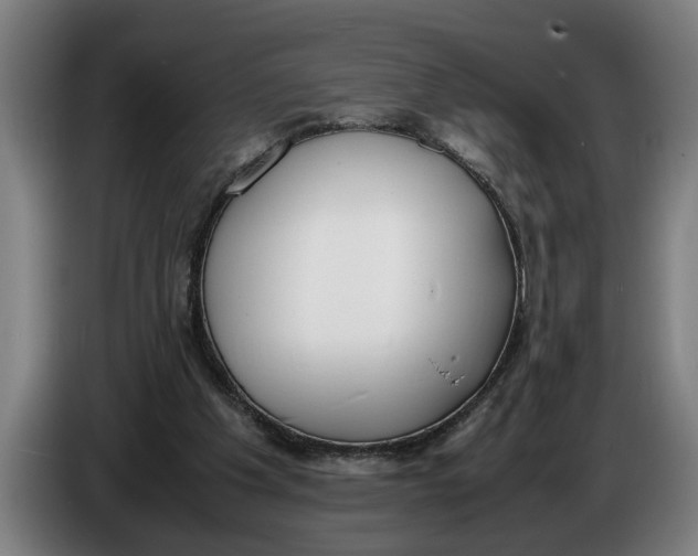 X0000086310201200704202009