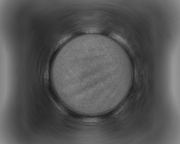 X0000086310202200704202009