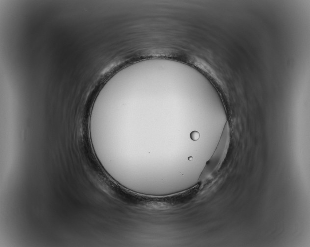 X0000086310203200704202009