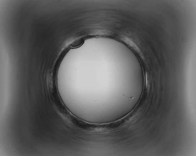 X0000086310204200704202009