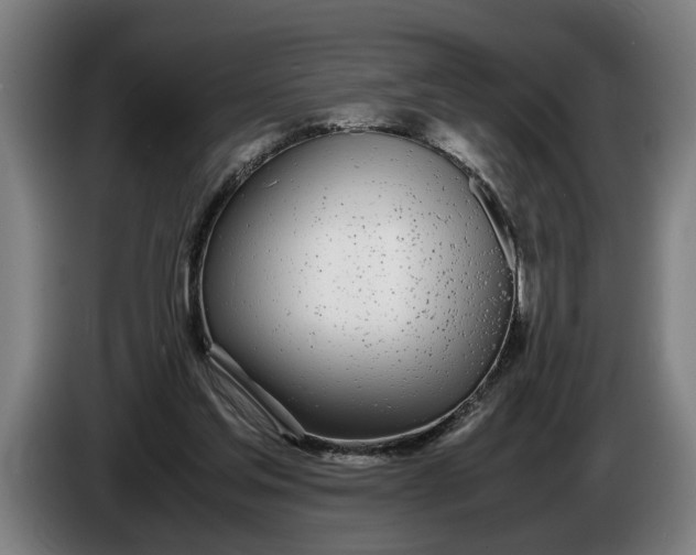 X0000086310205200704202009