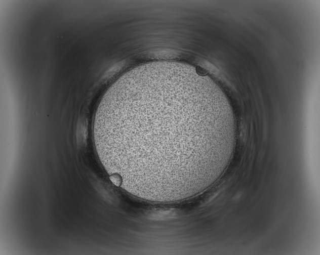 X0000086310206200704202009