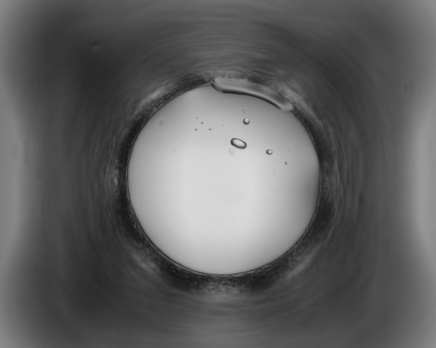 X0000086310207200704202009