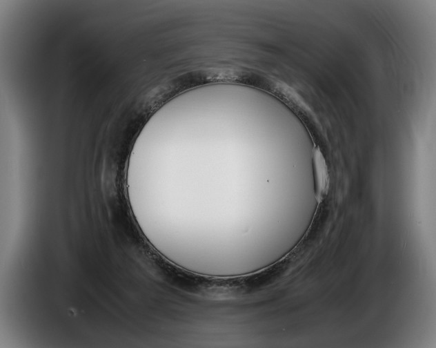 X0000086310209200704202009