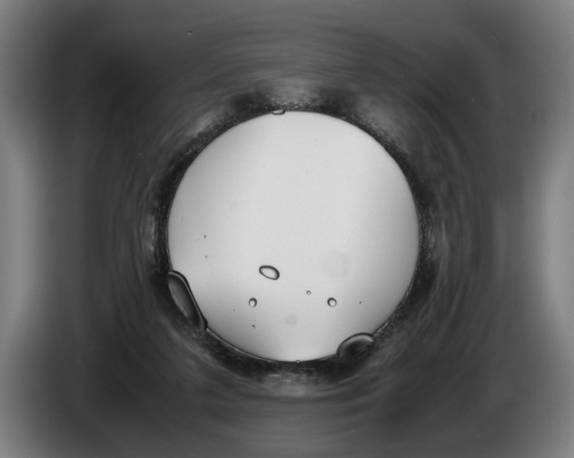 X0000086310211200704202009