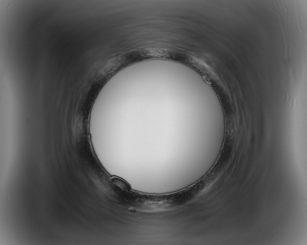 X0000086310213200704202009