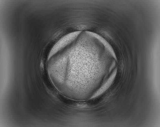 X0000086310214200704202009