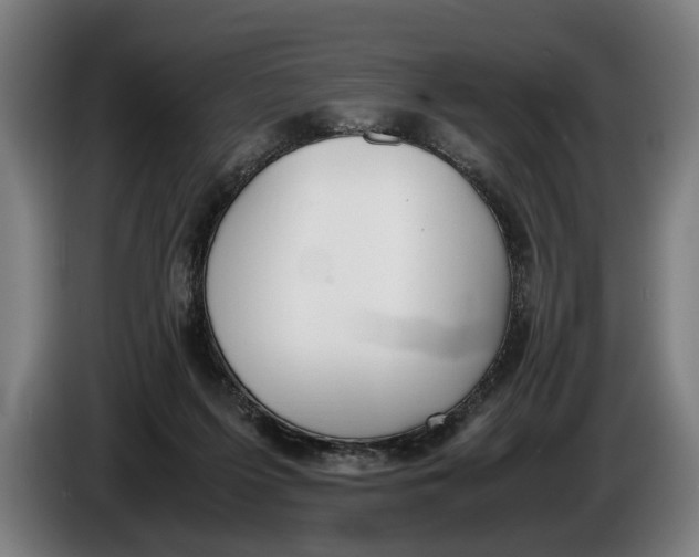 X0000086310215200704202009