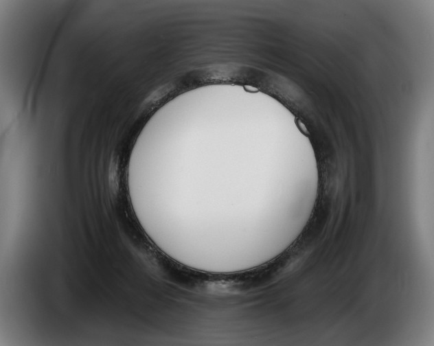 X0000086310216200704202009