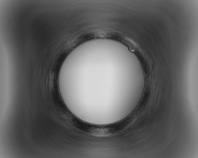 X0000086310217200704202009