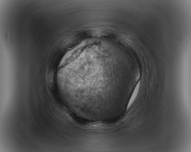 X0000086310219200704202009