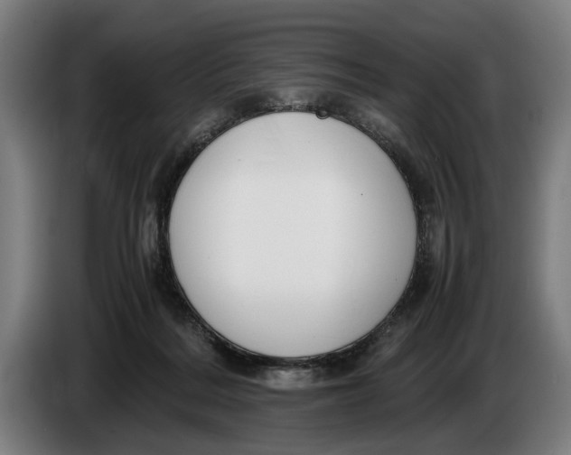 X0000086310220200704202008