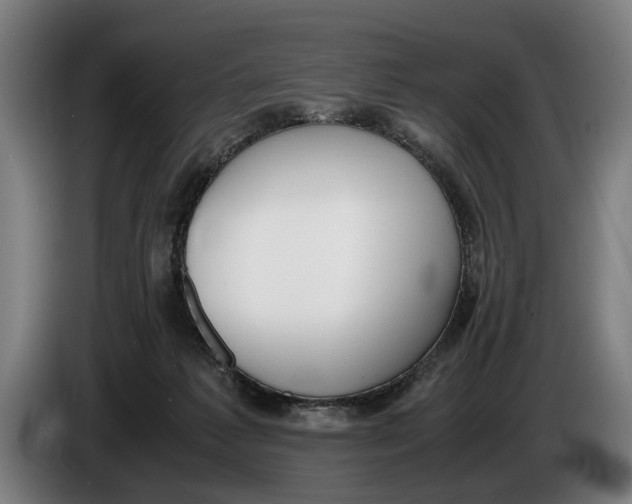 X0000086310221200704202008