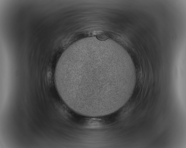 X0000086310222200704202008