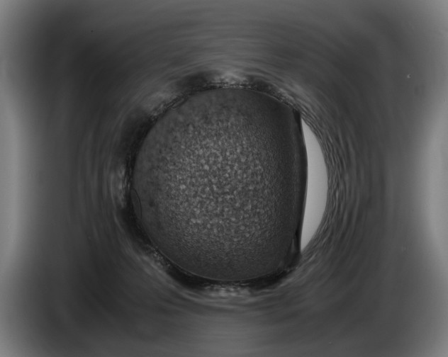 X0000086310223200704202008