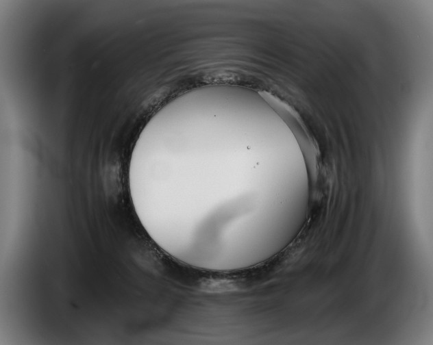 X0000086310224200704202008