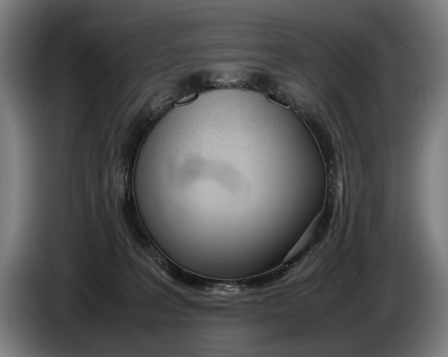 X0000086310227200704202008