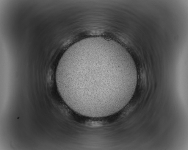 X0000086310228200704202008