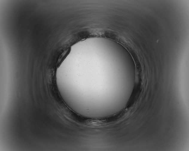 X0000086310229200704202008