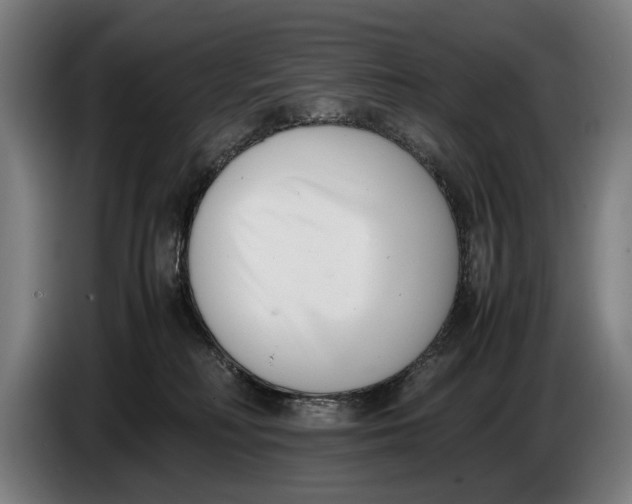 X0000086310230200704202008