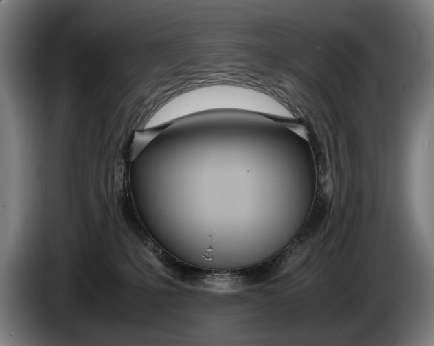 X0000086310231200704202008