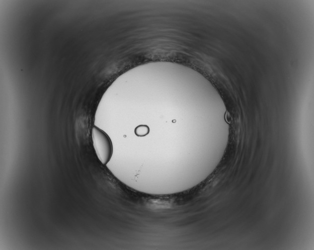 X0000086310232200704202008