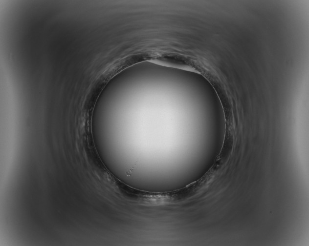 X0000086310233200704202008