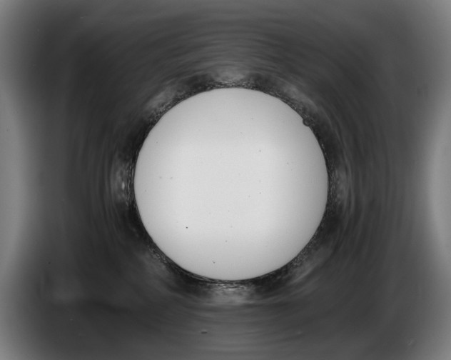 X0000086310234200704202008