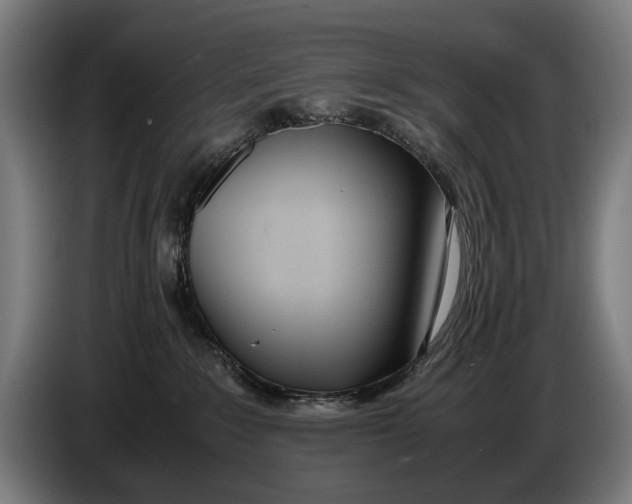 X0000086310235200704202008