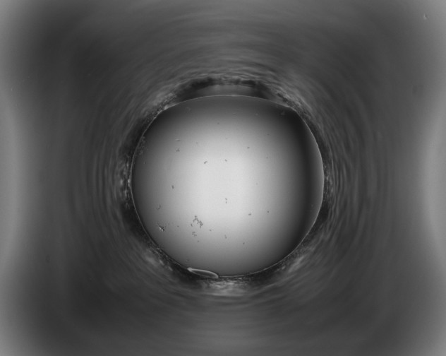 X0000086310237200704202008