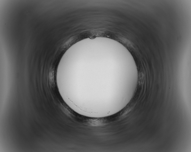 X0000086310238200704202008