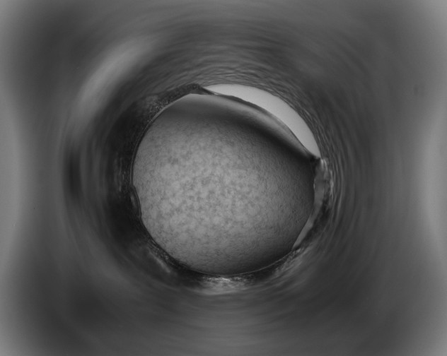 X0000086310239200704202008