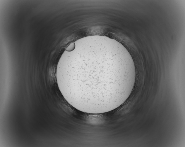 X0000086310240200704202008