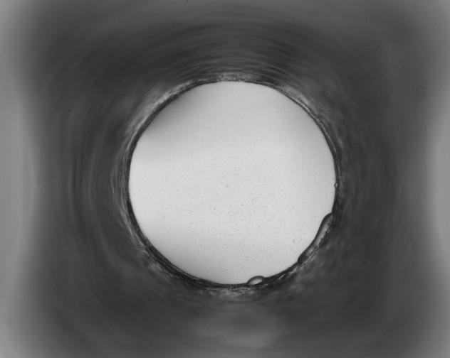 X0000086310241200704202008