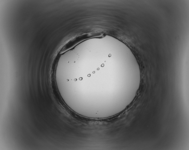 X0000086310242200704202008