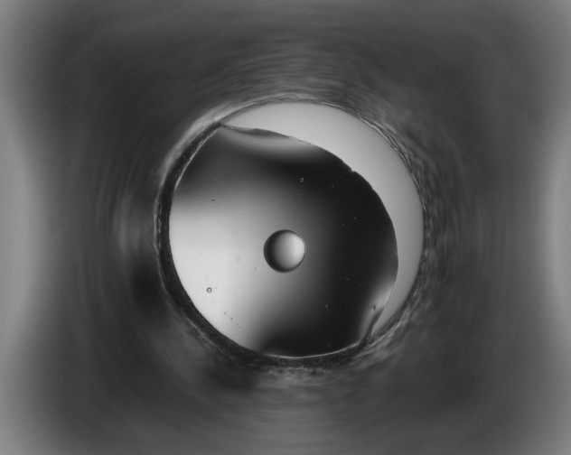 X0000086310244200704202008