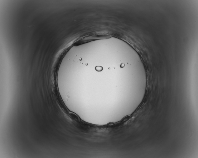 X0000086310245200704202008