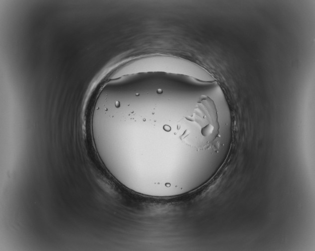 X0000086310246200704202008