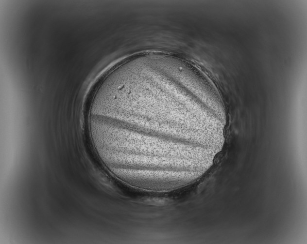 X0000086310247200704202008