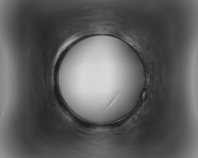 X0000086310248200704202008