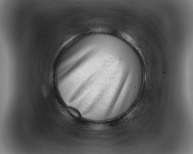 X0000086310249200704202008