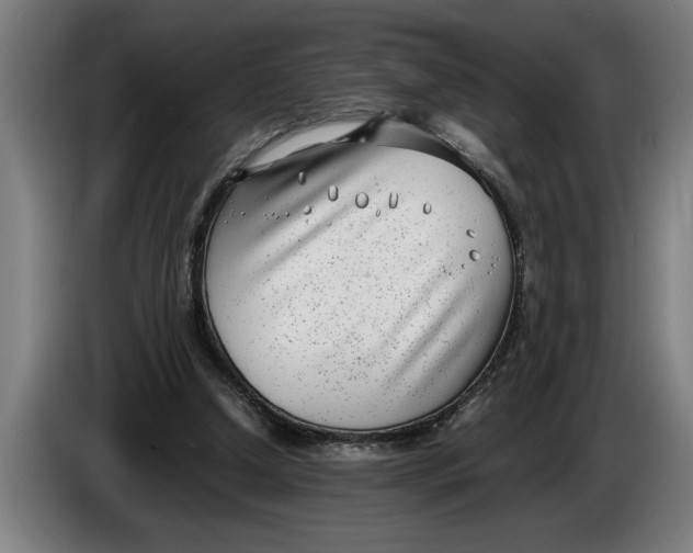 X0000086310250200704202008