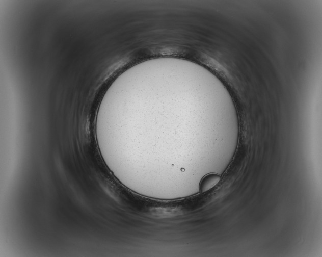 X0000086310251200704202008