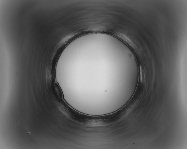 X0000086310252200704202008