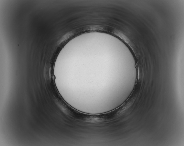 X0000086310253200704202008