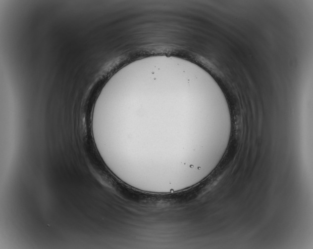 X0000086310254200704202008