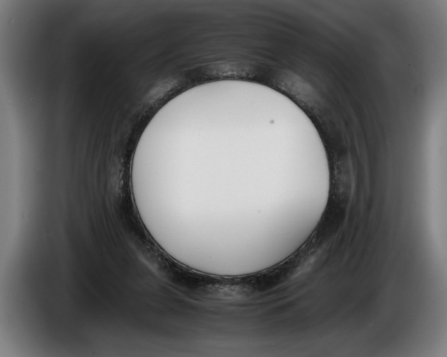 X0000086310255200704202008