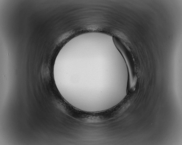 X0000086310256200704202008