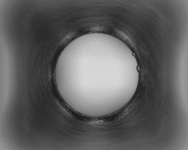 X0000086310257200704202008