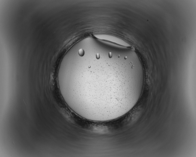 X0000086310258200704202008